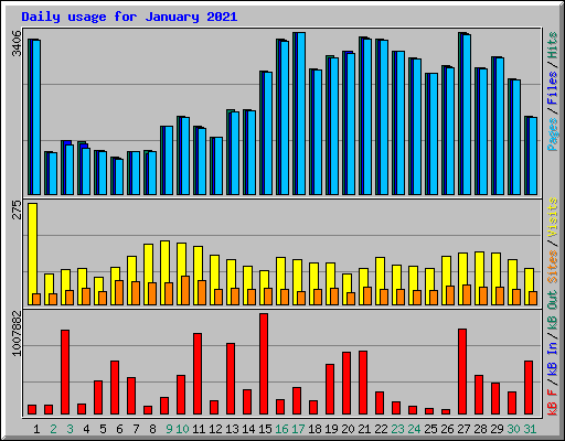 Daily usage for January 2021