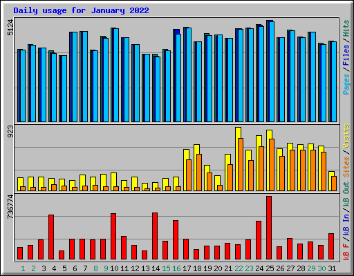 Daily usage for January 2022