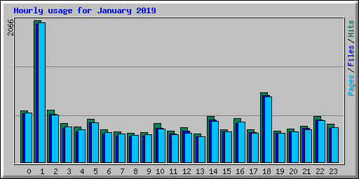 Hourly usage for January 2019