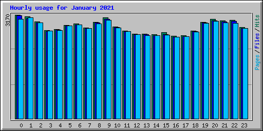 Hourly usage for January 2021