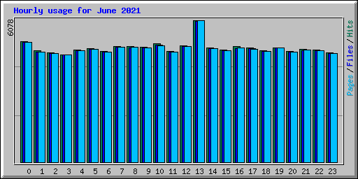 Hourly usage for June 2021
