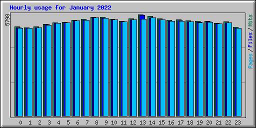 Hourly usage for January 2022