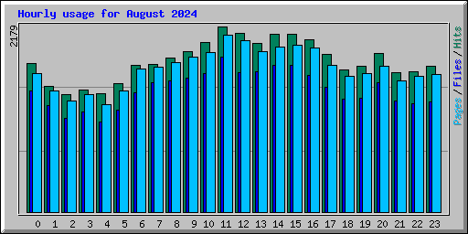 Hourly usage for August 2024