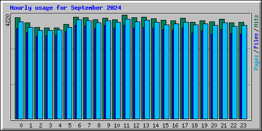 Hourly usage for September 2024