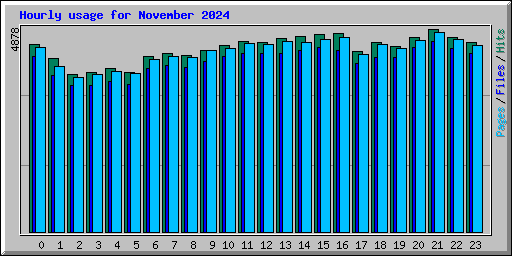 Hourly usage for November 2024