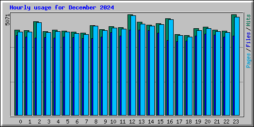 Hourly usage for December 2024
