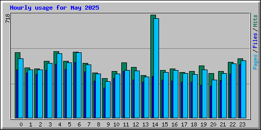 Hourly usage for May 2025