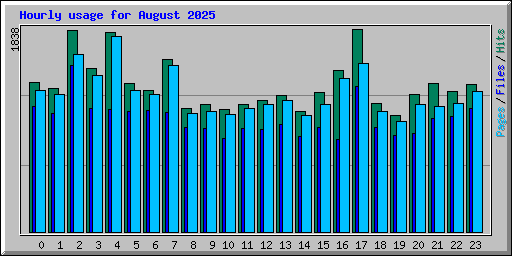 Hourly usage for August 2025