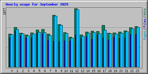Hourly usage for September 2025