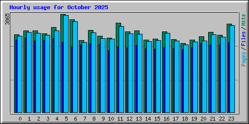Hourly usage for October 2025