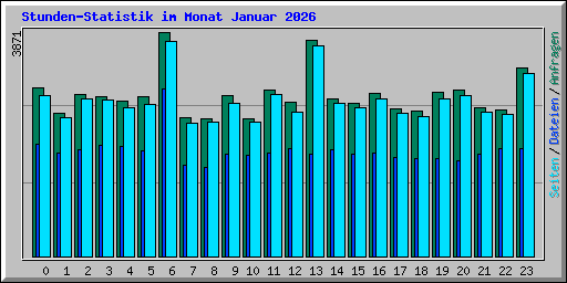 Stunden-Statistik im Monat Januar 2026